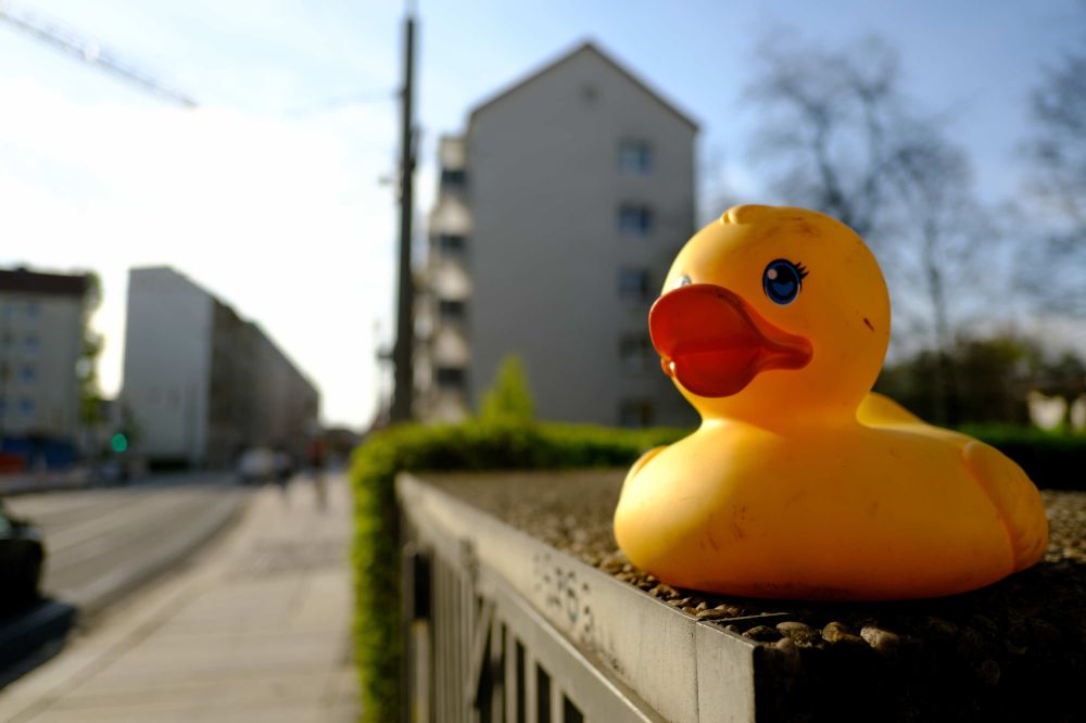 1      DSCF7476       4